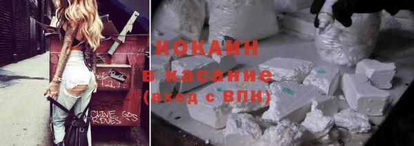 гашик Алзамай