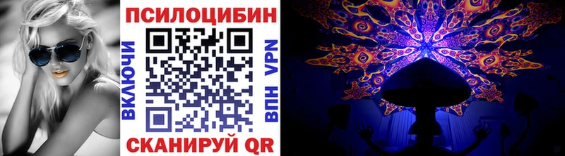 Псилоцибиновые грибы мухоморы мега ссылки Новошахтинск продажа наркотиков
