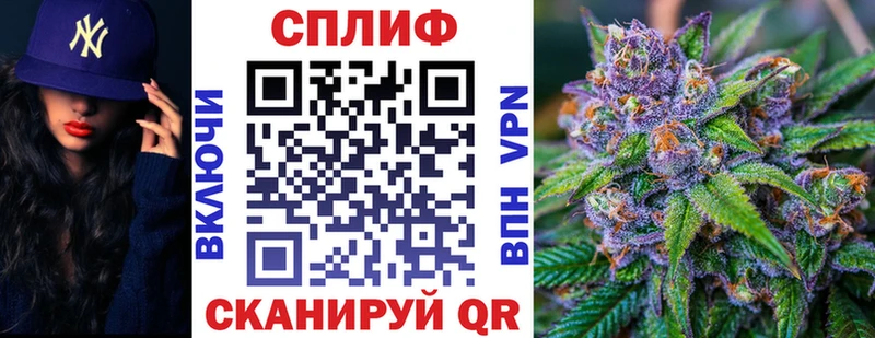 shop клад  Новошахтинск  Каннабис ГИДРОПОН 
